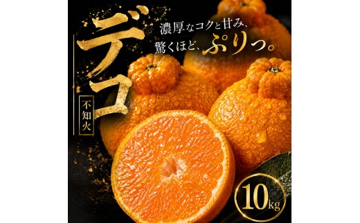 【早い者勝ち】 深い甘み 【デコ（不知火）（デコポンと同品種）】10kg 愛媛県産 【2027年1月下旬頃から順次発送】 | でこぽん しらぬい shiranui みかん ミカン mikan 蜜柑 訳ありフルーツ 柑橘 果物 おすすめ お勧め お取り寄せ ギフト 愛媛県 松山市