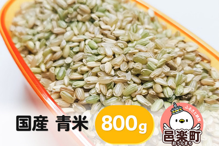 【国産】青米 800g×1袋 サイトウ・コーポレーション 飼料