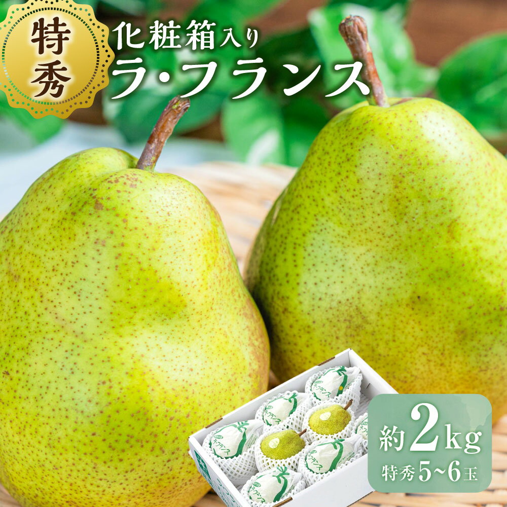 【ふるさと納税】ラ・フランス （特秀) 2kg【化粧箱入り】 山形県産 フルーツ 果物 【2025年11月上旬～12月上旬発送予定】