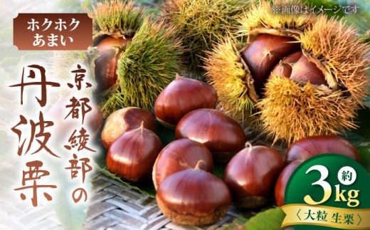 丹波栗 約3kg（生栗） / 栗 フルーツ ギフト 綾部市 / 旭町観光栗林園［BSBP003］