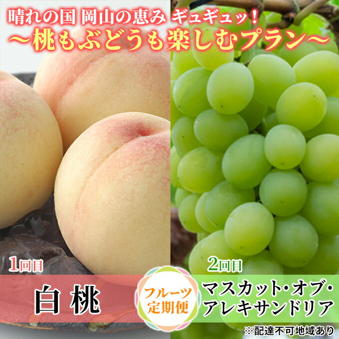 【ふるさと納税】【2026年先行予約】 桃 ぶどう 晴れの国 岡山の恵みギュギュッ！ ～桃もぶどうも楽しむプラン～ ( 白桃 ・ アレキサンドリア ）《2026年6月下旬-7月下旬頃出荷》 もも モモ 葡萄 ブドウ 里庄町 数量限定　お届け：2026年6月下旬～2026年7月下旬