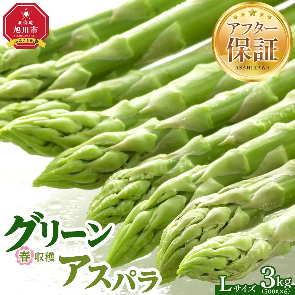 春収穫グリーンアスパラLサイズ（500g×6）約3.0kg（2027年6月上旬から発送開始）| アスパラ 北海道_05533
