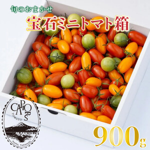 【カピオトマト】旬のおまかせ宝石ミニトマト箱 900g【1460268】