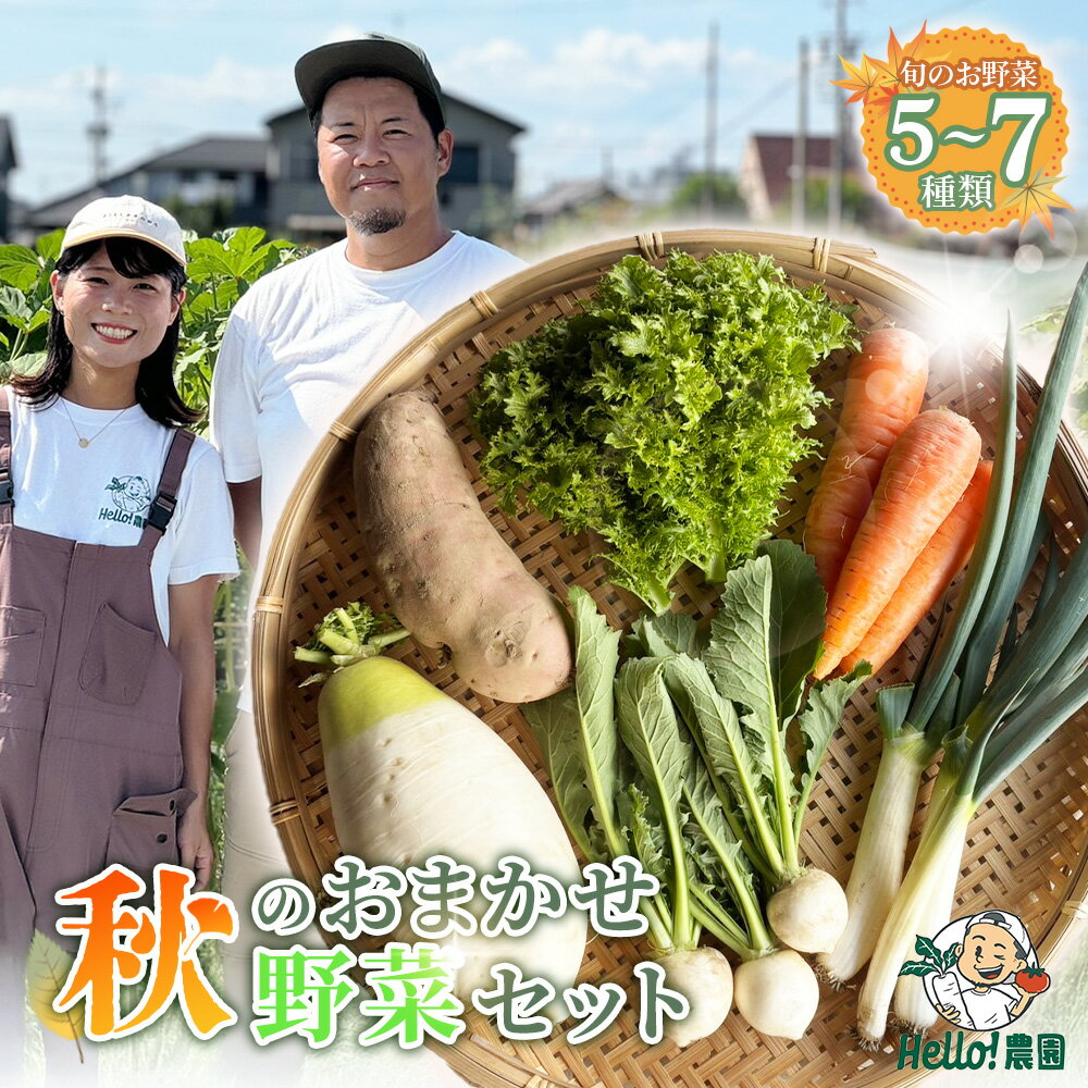 【ふるさと納税】【Hello！農園 直送】秋のおまかせ野菜セット（5～7品） 栽培期間中農薬・化学肥料不使用 ／ 野菜 やさい 新鮮 旬 採れたて おいしい 産地直送 産直 無農薬野菜 こだわり 定番野菜 めずらしい野菜 フレッシュ 送料無料 愛知県 No.276