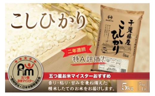 
                  令和8年産 2年連続特A評価!千葉県産コシヒカリ5kg（5kg×1袋） ふるさと納税 米 5kg 千葉県産 大網白里 コシヒカリ 精米 こめ 送料無料 E006
                