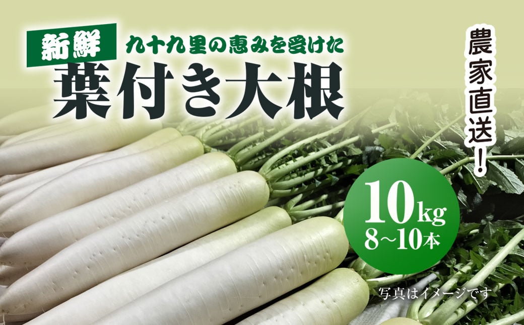 
            農家直送! 九十九里の恵みを受けた新鮮葉付き大根 約10kg／大根 だいこん 葉付き大根 葉付きだいこん 新鮮 九十九里浜 おひたし 味噌汁 みそ汁 千葉県 千葉県山武市 SMBU005
          