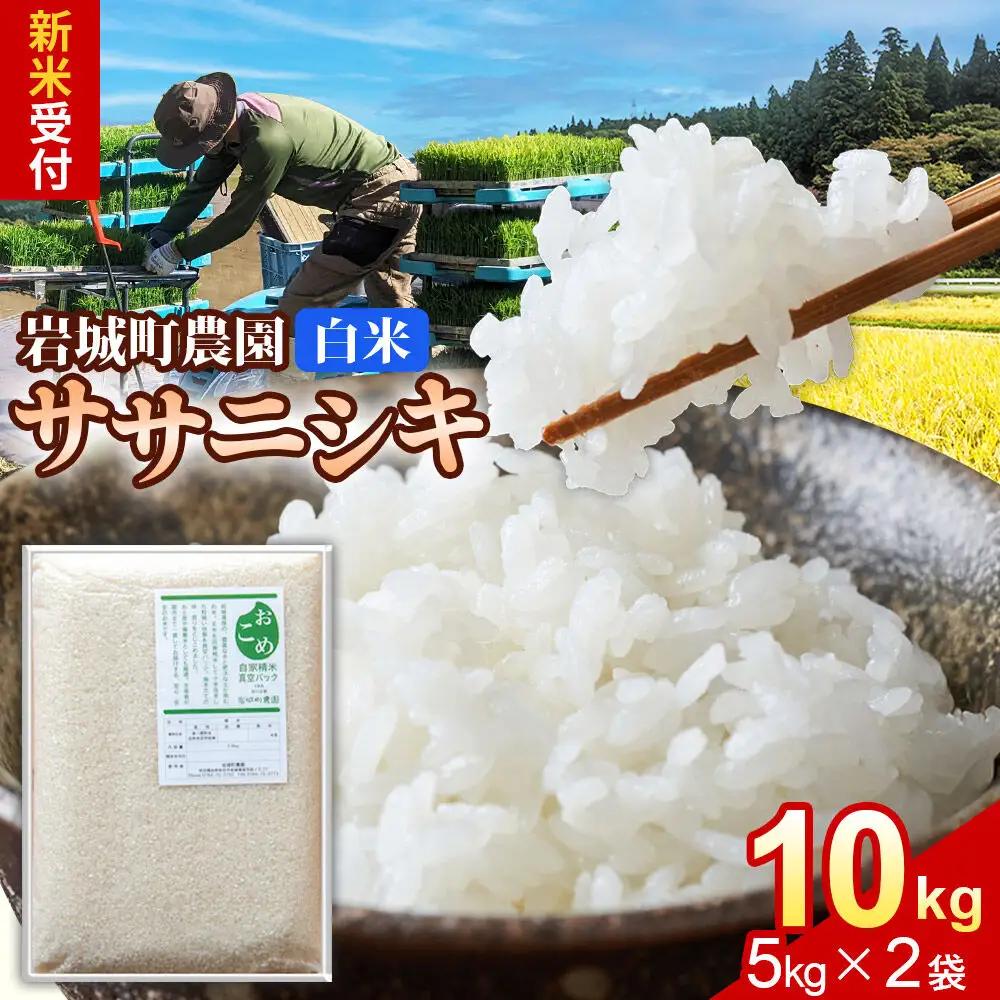 《令和8年産 新米受付》【白米】ササニシキ 10kg(5kg×2袋) 秋田県 由利本荘市産 真空パック 岩城町農園