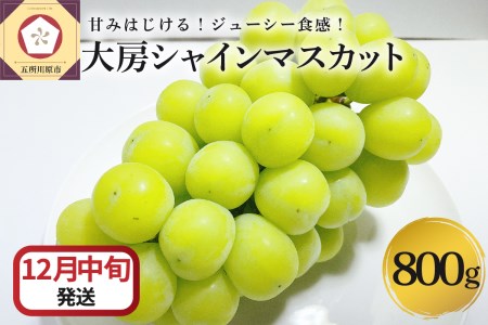 【2025年12月中旬発送】 シャインマスカット 大房 800g 青森産