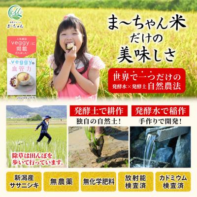 ふるさと納税 三条市 先行受付 新米 ササニシキ 玄米 5kg 令和8年産米 自然農法 ま〜ちゃん米【015S015】 |  | 01