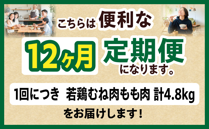宮崎県産 若鶏切身 むね肉&もも肉 4.8kg（各300g×8袋）【12か月定期便】