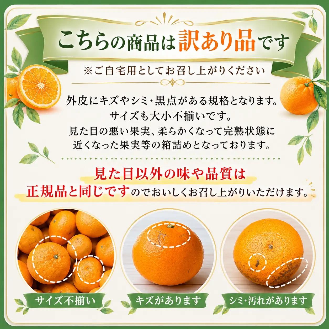 【先行受付】限定150個　ぷるぷる食感!「 マドンナ 」約3.3キロ【 訳あり 】YWTF062
