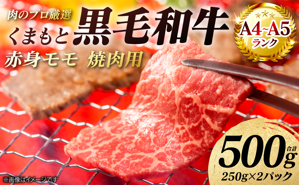 【A4～A5ランク】 くまもと黒毛和牛 赤身 モモ 焼肉用 500g （250g×2パック） 和牛 牛肉 お肉 黒毛和牛 冷凍 焼肉 BBQ おかず 熊本県 八代市