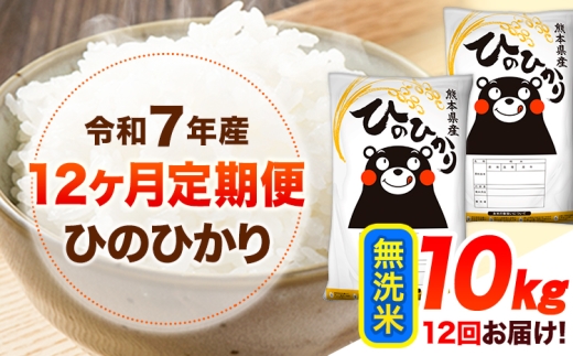 令和7年産【12ヶ月定期便】 無洗米 ひのひかり 10kg 《お申込み翌月から出荷》 熊本県産 無洗米 精米 ひの 送料無料 熊本県 山江村 SDGs 米 コメ こめ 国産