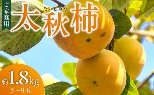 【訳あり品】【10月より順次発送】池尻農園 太秋柿 5～9玉 約1.8kg ご家庭用_Fk015