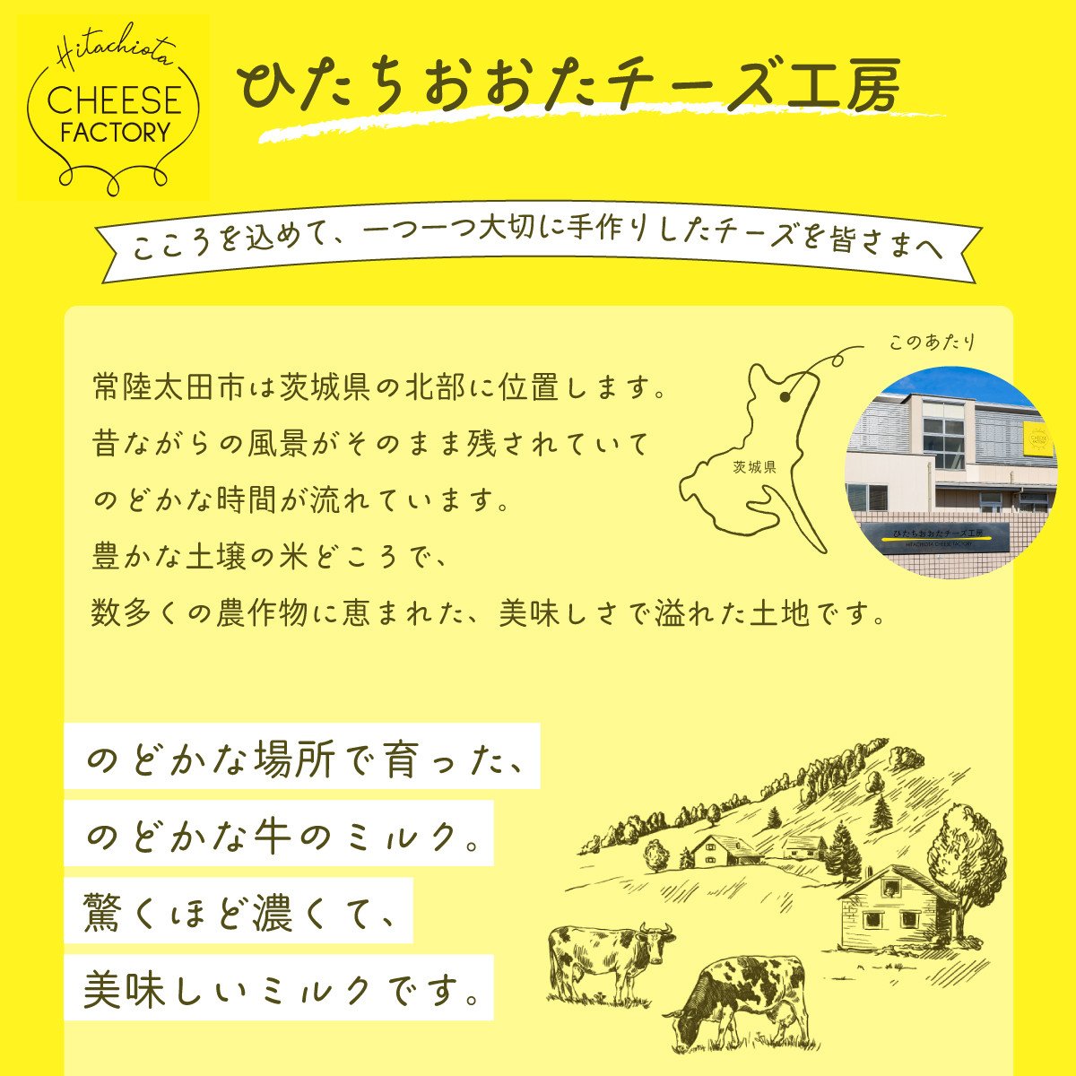 新鮮な生乳で一つひとつ大切に工房で手作りしたナチュラルチーズ4種セット