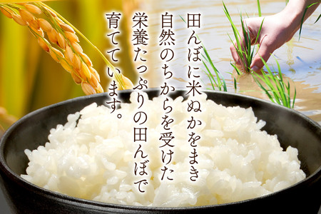 令和7年産 秋田県 秋田市産 ササニシキ 精米 10kg(5kg×2袋)  白米 米