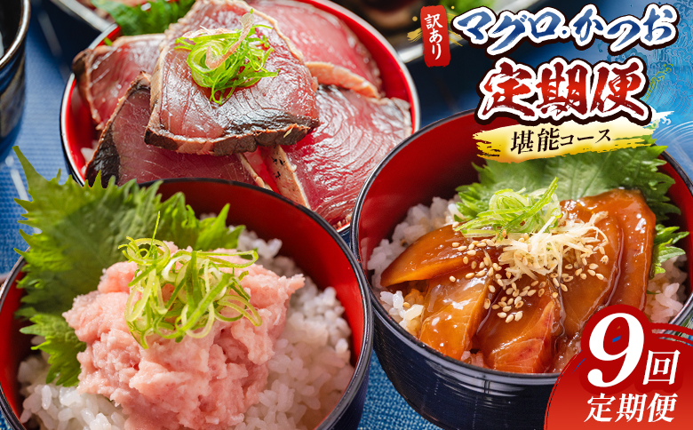 海鮮 定期便【9回定期便】マグロ かつお堪能定期便 - 訳あり マグロ 鮪 カツオ 鰹 漬けマグロ たたき ネギトロ 配送回数 定期便 小分け 海鮮 魚介 冷凍食品 加工品 海鮮丼 刺身 株式会社大熊 高知県 香南市 冷凍 Wda-0057