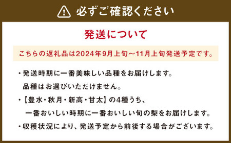 浅岡農園 の 梨 約2.7kg 豊水 秋月 新高 甘太 果物 大分県産 【2024年9月上旬-11月上旬発送予定】