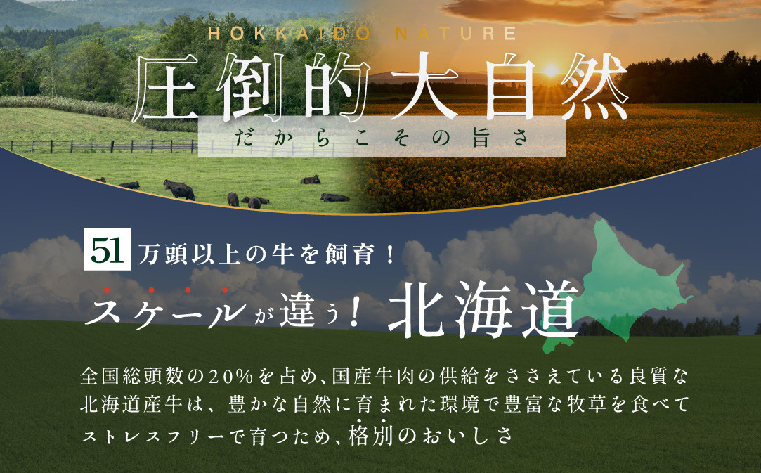 岩見沢産たまねぎ使用 北海道産牛チーズハンバーグ10個セット 全技連日本料理マイスター監修♪【38022】