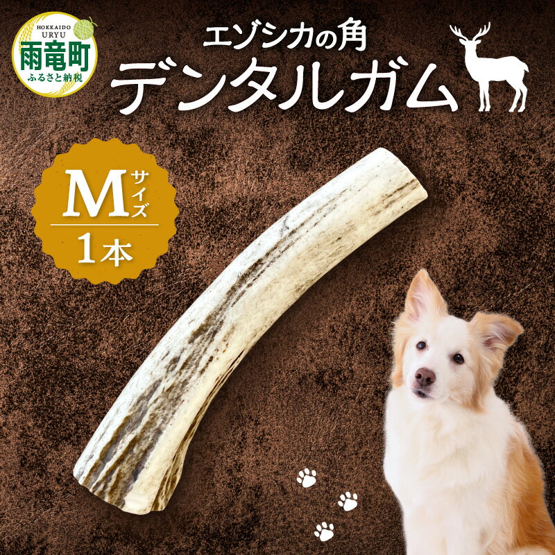 【ふるさと納税】【数量限定】エゾシカの角デンタルガムMサイズ（中型犬向け）
