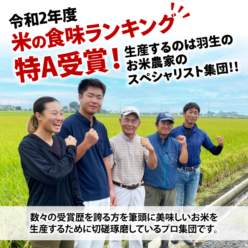 【予約】令和6年産 米 精米 10kg (5kg×2袋) 彩のきずな