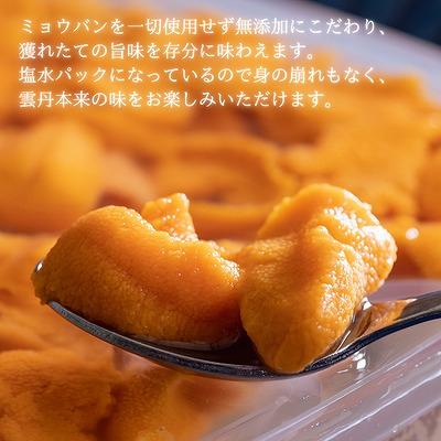 ふるさと納税 根室市 エゾバフンウニ塩水パック(食べ比べ)100g×各1P B-61003 |  | 01