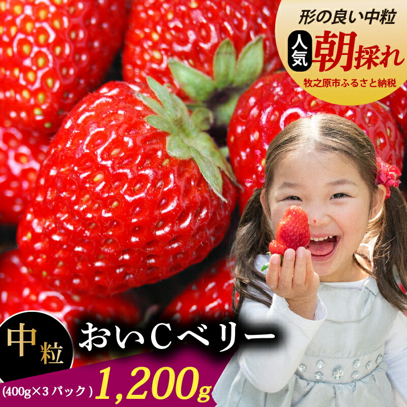 【ふるさと納税】 おいCベリー 中粒 1200g いちご 冷蔵発送 おいCベリー 苺 イチゴ 400g × 3パック ゆりかーご 土耕栽培 フルーツ 果物 スイーツ デザート 朝摘み ストロベリー おやつ 完熟 直送 ギフト 家庭用 贈答用 贈答 ギフト 贈り物 甘い 農家直送 ベリー 産地直送