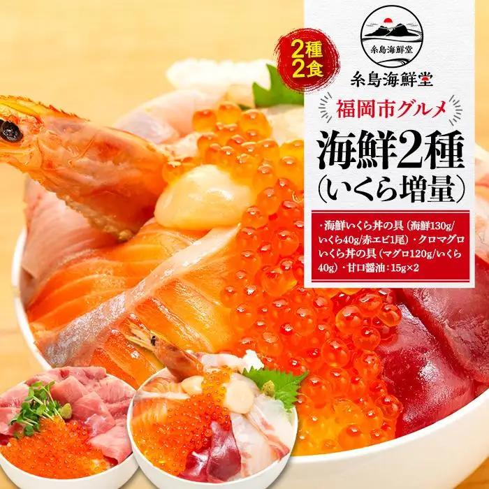 福岡市グルメ 糸島海鮮堂の海鮮2種（いくら増量）セット | 福岡県 福岡市 福岡 九州 返礼品 お取り寄せグルメ 取り寄せ グルメ 食品 お取り寄せ 魚介類 魚介 海産物 海の幸 水産 海鮮丼 海鮮 丼の具 海鮮丼の具 イクラ いくら