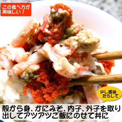 ふるさと納税 新温泉町 松葉ガニの本場より茹でたてを即出荷　釜茹でセコガニ(冷蔵)　希少な大サイズ　5枚 |  | 03
