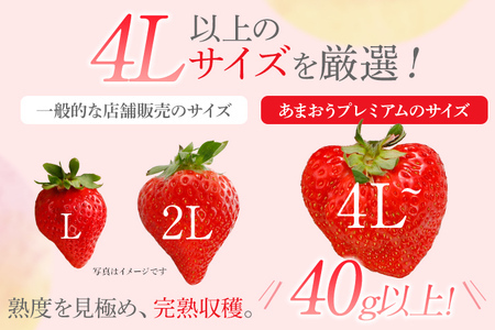 【ふるなび限定】桐箱入り高級あまおうギフト(9～15玉)450g いちご イチゴ 苺 FN-Limited BD015