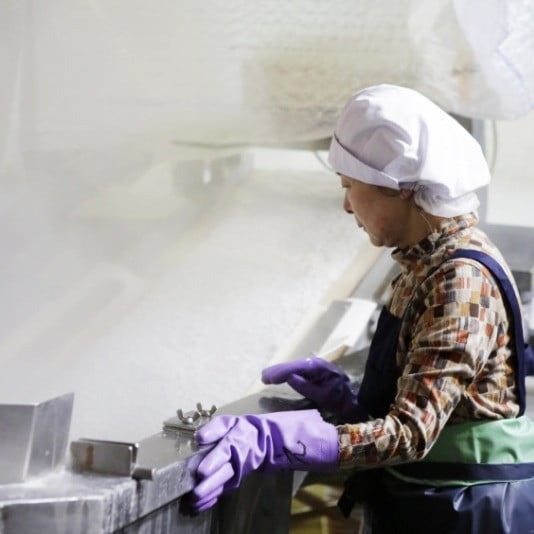 しらす干し 2kg 冷凍 シラス しらす ちりめん じゃこ かちり 小魚 魚貝類 海鮮 しらす丼 高知県 南国市