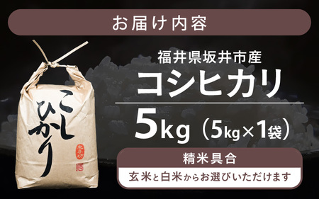 令和8年産 坂井市産 コシヒカリ 5kg 【白米】 2026年10月上旬以降順次発送 米 コメ お米 福井こしひかり [A-10216_01]