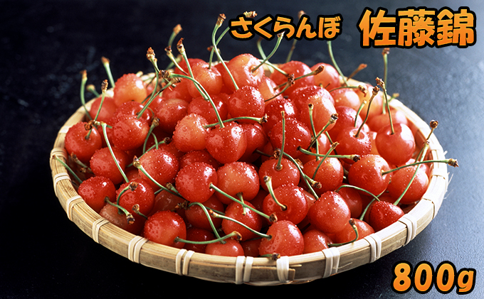 [先行受付] 北海道 仁木町産 さくらんぼ 佐藤錦 800g （200g×4パック） 果物 くだもの フルーツ チェリー 美味しい 人気 おすすめ お裾分け [JA新おたる]