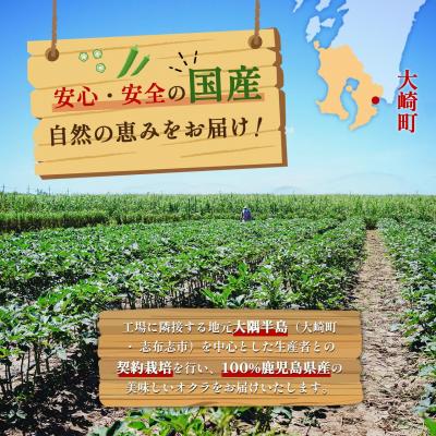ふるさと納税 大崎町 【定期便】鹿児島県産　冷凍スライスオクラ　(150g×6パック)×6回 |  | 01
