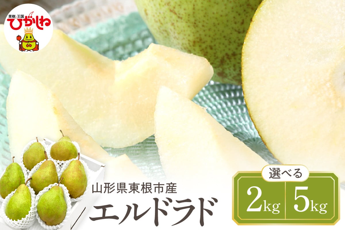 
            【令和7年産 先行予約】西洋梨エルドラド【2kg・5kg】 秀品　化粧箱入り 山形県 東根市 東根農産センター提供 hi027-198-1-o
          