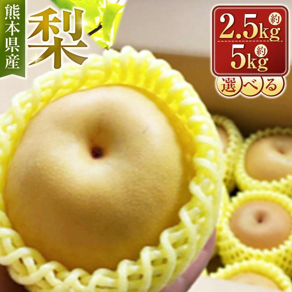 【ふるさと納税】＜選べる内容量＞ 梨 約2.5kg / 約5kg なし ナシ フルーツ くだもの 果物 果実 デザート 熊本県産 国産 九州 熊本県 送料無料 【2026年7月上旬から10月下旬発送予定】