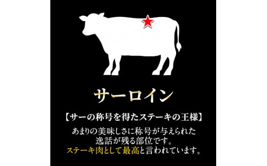 D-064 ＜数量限定！＞鹿児島県産黒毛和牛サーロインステーキ3枚 計750g(Ａ-5等級)【九面屋】霧島市 国産 牛肉 ステーキ ステーキ肉  鹿児島県産 黒毛和牛 肉 精肉 牛 A5等級