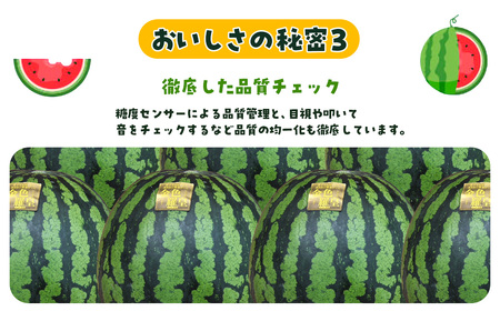 金色羅皇　SMAF004