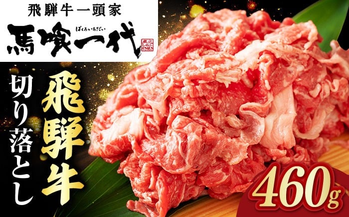 
                  飛騨牛切り落とし 460g 和牛 国産牛 うす切り 焼肉 岐阜 霜降り 等級 肉 ビーフ おすすめ 人気 岐阜市 切り落とし 切落し すき焼き すきやき 牛丼 炒め物 お取り寄せ グルメ ブランド牛 銘柄牛 牛肉 食材 ごちそう お祝い ギフト プレゼント 贈答 贈り物 おかず 母の日 父の日 敬老の日 年末年始 お正月 岐阜市/岐阜県名産販売 [ANAB014]
                