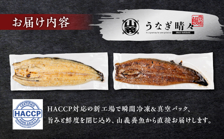 うなぎ晴々 白焼き 新仔 4尾 うなぎ