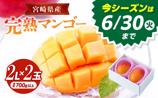 《2026年発送》【数量・期間限定】宮崎県産完熟マンゴー 2Lサイズ 2玉_M184-012