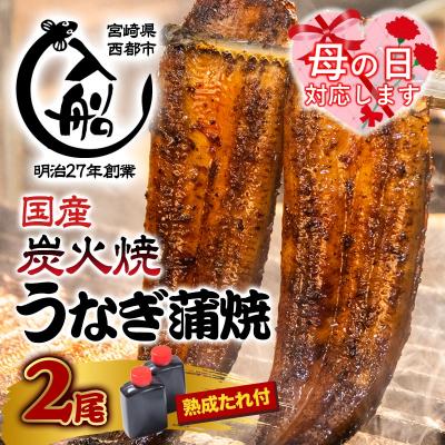 ふるさと納税 西都市 【母の日ギフト】炭火焼一筋「うなぎの入船」かば焼2尾(熟成たれ付)国産うなぎ[1235]