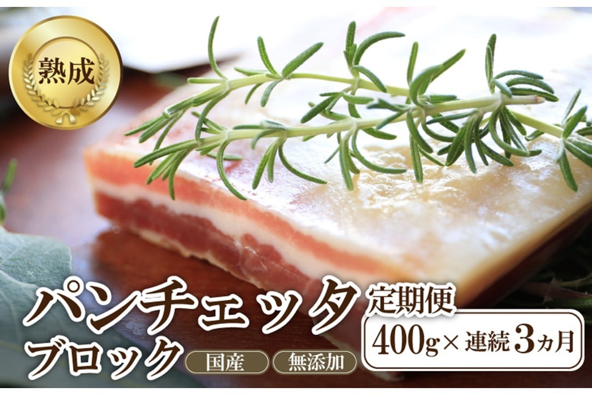 
            【定期便 毎月×3回】パンチェッタブロック（豚バラ肉の塩漬け）約200g×2袋 ベーコン ブロック・豚バラブロック・ブロック肉・豚肉・豚バラ・パンチェッタ・塩豚・無添加・熟成・生ベーコン・国産　NI00023
          