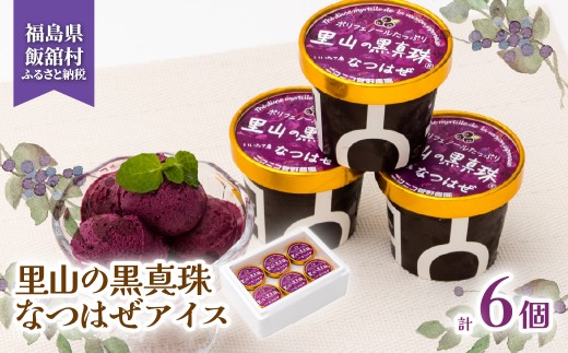 里山の黒真珠 なつはぜアイス 【ふるさと納税 人気 おすすめ ナツハゼ 名物 特産 ポリフェノール 抗酸化 疲労回復 健康 美容 復興 福島 飯舘村】ITTAA002