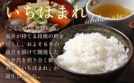 【福井のブランド米】【令和5年産】【特A獲得】いちほまれ 無洗米 2kg × 1袋