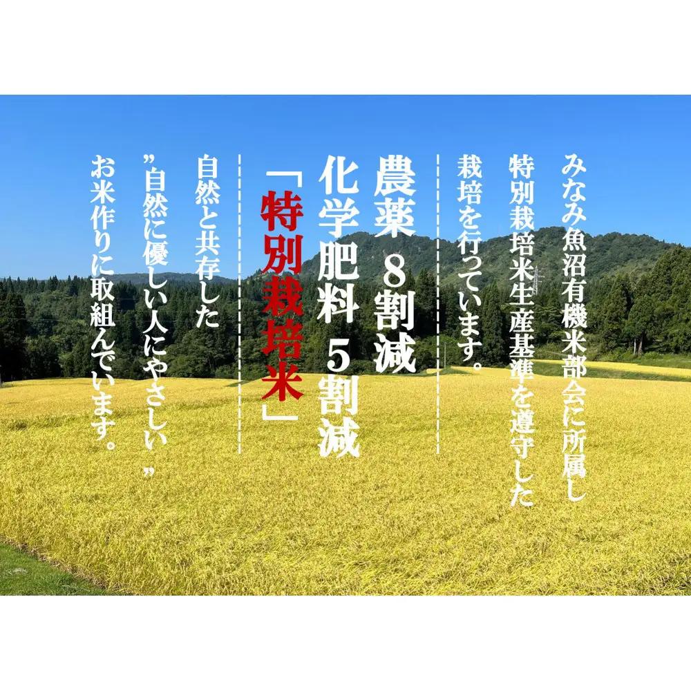 定期便「とやの里山継承プロジェクト対象」【天水棚田米】南魚沼塩沢産コシヒカリ　精米4kg全4回【定期便 銘柄米 ブランド米 精米 こしひかり コシヒカリ 魚沼産 新潟米 産地直送 お米 米 こめ コメ