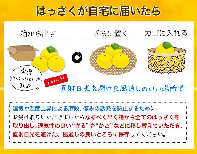 はっさく4kg 2箱 ご家庭用 八朔 