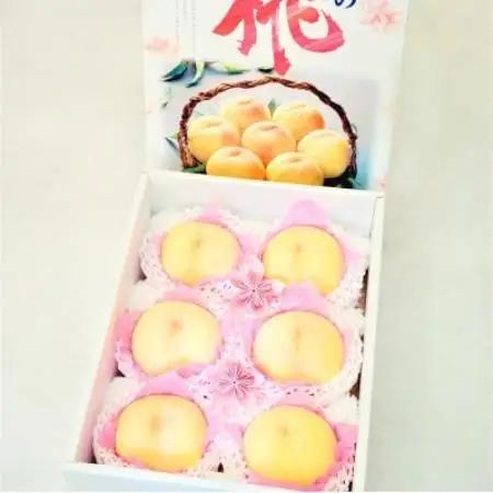 岡山県産 樹熟し白桃 5-8玉(約2kg)【配送不可地域：離島】【1735328】