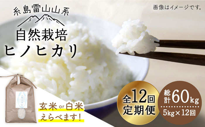 【玄米】【令和7年産新米予約】【 全12回 定期便 】 自然栽培 ヒノヒカリ 5kg 《糸島》【大石ファーム】【2025年11月中旬以降初回発送】 [ATE019-1]