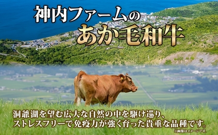 あか牛 牛肉 焼肉用 バラ肉 洞爺湖産 あか牛【600g 200g×3パック】
